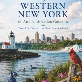 Birds of Western New York: En identifieringsguide
