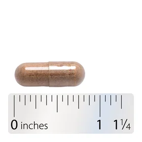 Nature's Way Dong Quai Root 1130mg 100 Capsules