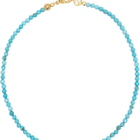 Nialaya Evil Eye Turquoise Choker 810196318601