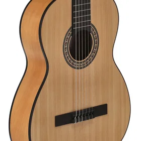 Manuel Rodriguez & Sons Flamenco Guitar Regular Caballero Principio CA-PM F