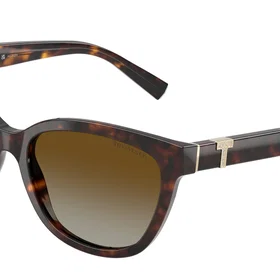 Tiffany & Co. TF4237B Polarized