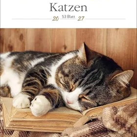 Korsch Verlag GmbH Katter Veckoplanerare 2027 24 x 32 cm