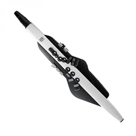 Roland Aerophone AE-20