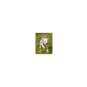 Browntrout Puppies I Love Diary 2026