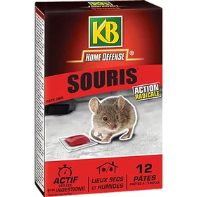 KB Home Defense Souris Piège à rats 12x10g