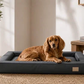 E-Doggy Minimalist Tapis de chien 100x80cm
