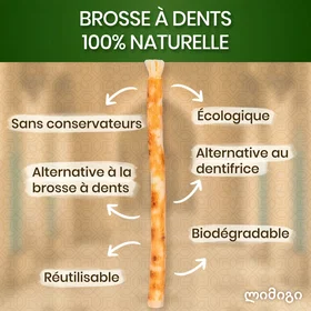 Orinko Miswak Sticks 3pcs