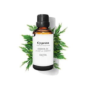 Daffoil Cypress Æterisk Olie 100ml