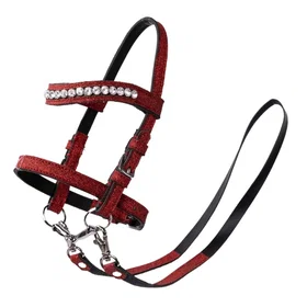 My Hobby Horse Suitset