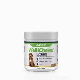 Swedencare Wellichews Matsmältning Medium/Stor Mjuka Tuggor 60pcs