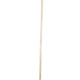 Green>it Wooden Scrub Brush 150cm