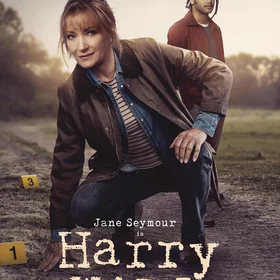 Harry Wild Sesong 4 (DVD)