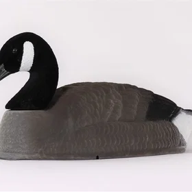 Interjakt Goose Bulvan Canada