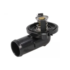 Thermotech Thermostat d'eau D2Y004TT