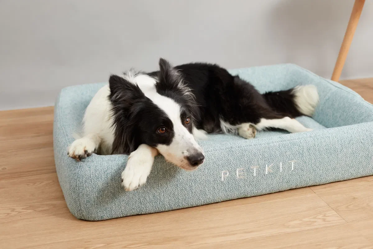 Petkit Deep Sleep All Season Dog Bed