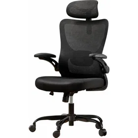 HUANUO HNMOC10B-UK Executive Chair Mesh Reclining