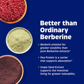 Enzymedica Berberine Phytosome 60 Kapslar