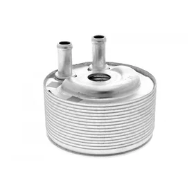 ACKOJA Refroidisseur d'huile Moteur A38-60-0007