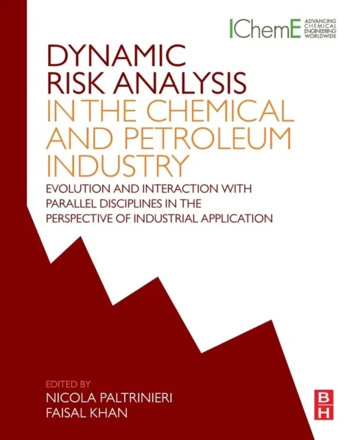 Dynamic Risk Analysis in the Chemical and Petroleum Industry Paperback
