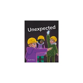 Mystery Coloring Book #2 Something Unexpected