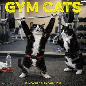 Humorous Gym Cats Kalender 2027