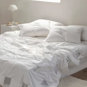 Norsk Dun Täcke Tencel Pläd 260x240cm