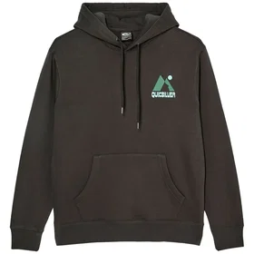 Quiksilver Salt Water Peak Hoodie (Herr)
