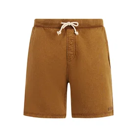Protest Carver Shorts (Herr)