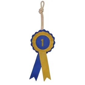 Hansbo Sport Medalje