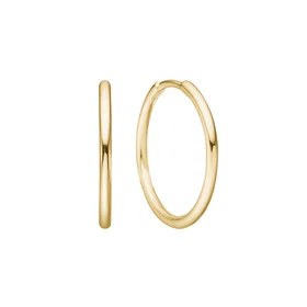 Avilé Medium Hoops AJ-B1-20-GP Øreringer
