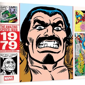 Stan The Amazing Spider-Man Classic Newspaper Comics 1979