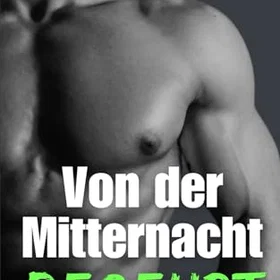 MM Von der Mitternacht begehrt Små Böcker I En Stor : Spicy Romance Novella (bok)