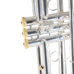 Roy Benson Charli Green Signature Bb Trumpet