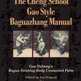 Blue Gao Style Baguazhang Manual