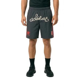 Adidas Nylon Gfx Shorts (Herr)