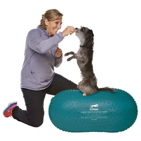 FitPAWS Peanut Trax Balanseplattform 60 cm