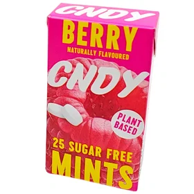 Chewsy Bær Sukkerfri Mint