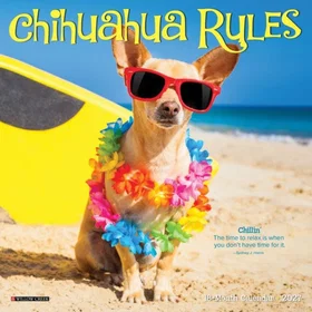 Chihuahua Rules Kalender 2027 Mini