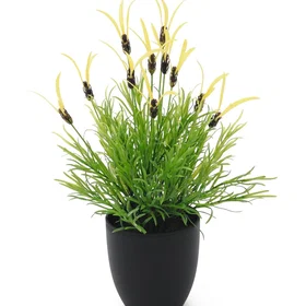 Europalms Federlattich 40cm 82505639