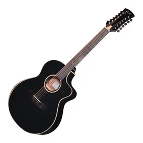 Faith Guitars Eclipse Neptune Black