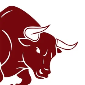 L'Europa Granata: Il Toro nelle Coppe Europee