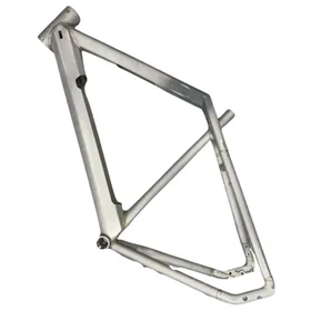 Raleigh E-bike One (Électrique)