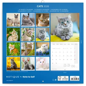 Cats Veggkalender 2026 30x30cm