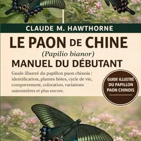 Papilio Nybörjarguide