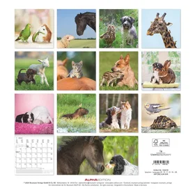 Alpha Animal Friendships Veggkalender 2025 30x30cm