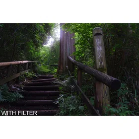 Hoya Mist Diffuser Black No0.5 Filtre 67mm