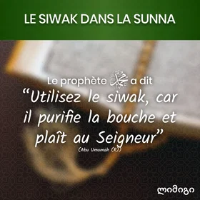 Orinko Siwak Sticks 3 st