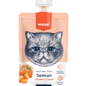 Wanpy Smaksatt pasta Laxkyckling & Morot 90g