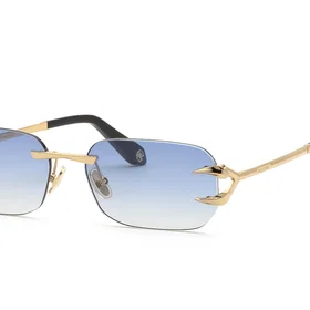 Roberto Cavalli SRC181 300B