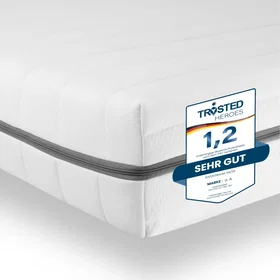 Sleepneo Matelas Ergonomique Ferme Mousse Froide 90x220cm